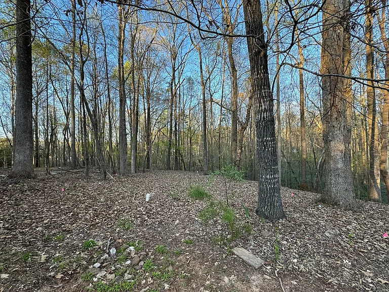 Private wooded backyard leads down to walking path and stream.