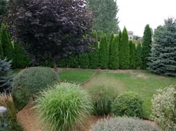 3rd image of 5006 Wentworth Cir