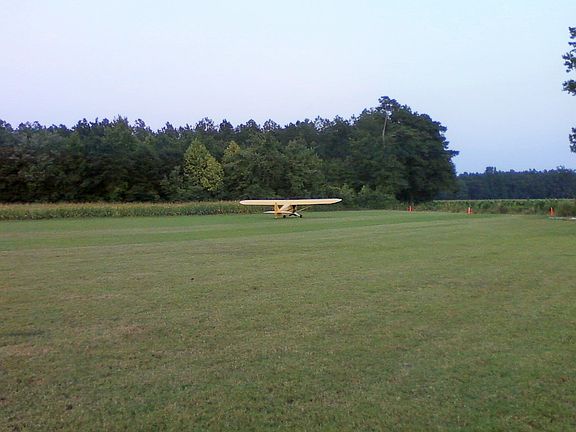 Runway and Pine Timber