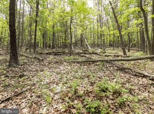 Cold Stream Rd, Capon Bridge, WV 26711