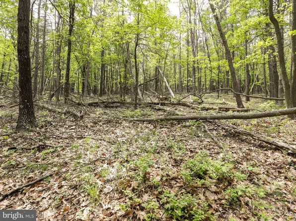 Cold Stream Rd, Capon Bridge, WV 26711