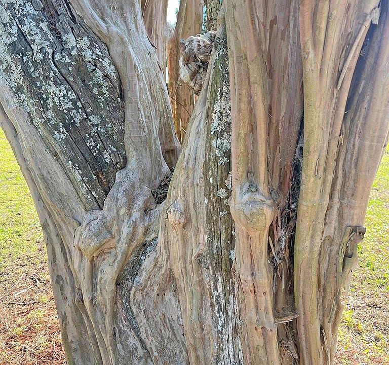 40th image of this home