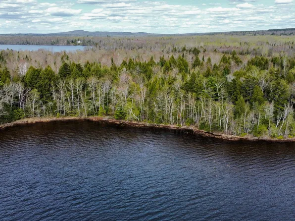 Lot 25 Woodland Ridge Road, Danforth, ME 04424