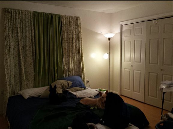 4th image of 29848 Aster St