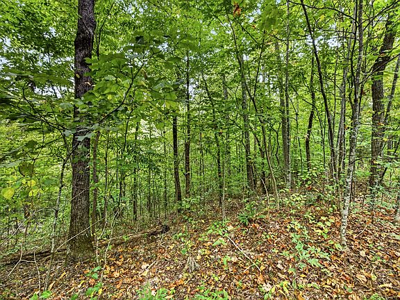 2nd image of 0 Timber Ridge Ln Lot 26