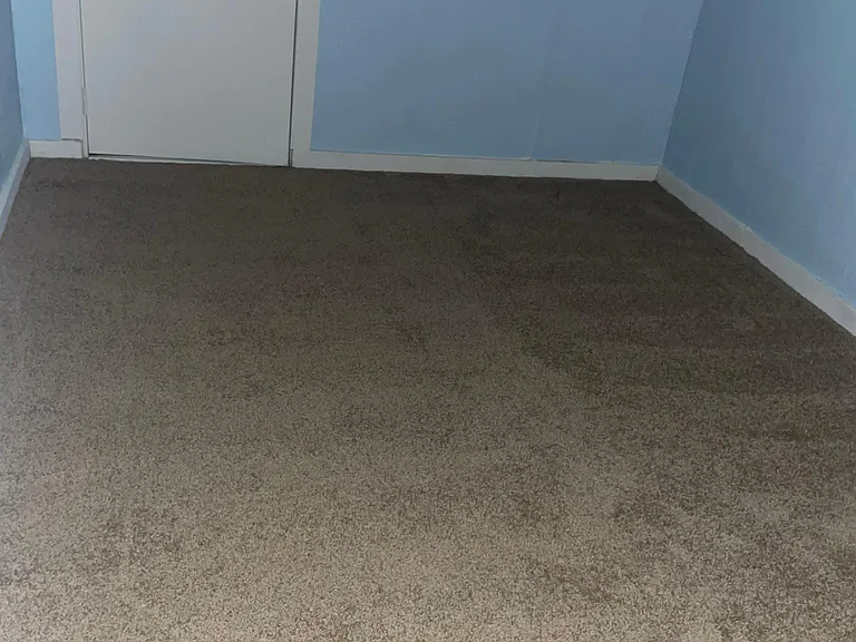 1440 Hamilton St — Photo 7