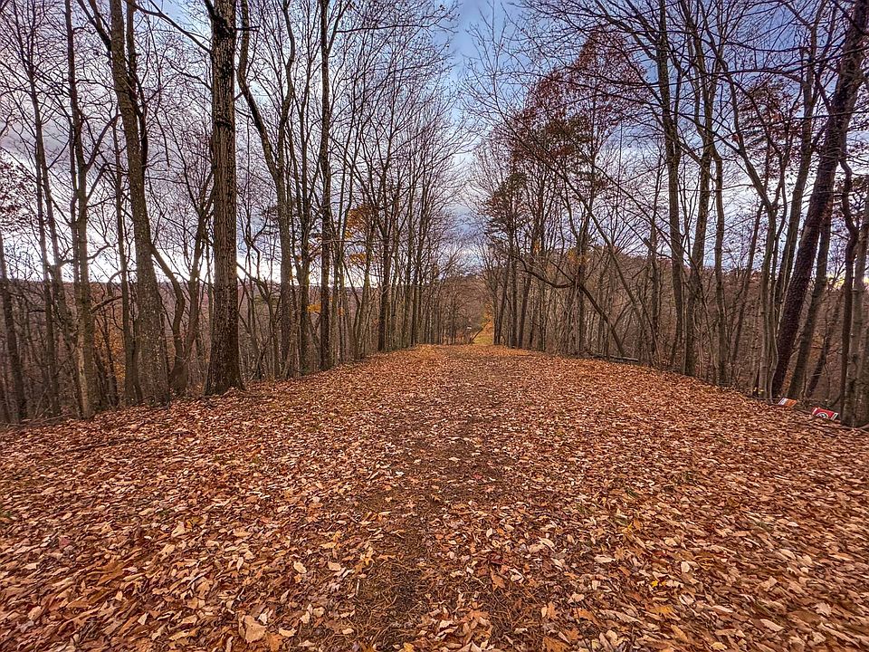 37th image of this home