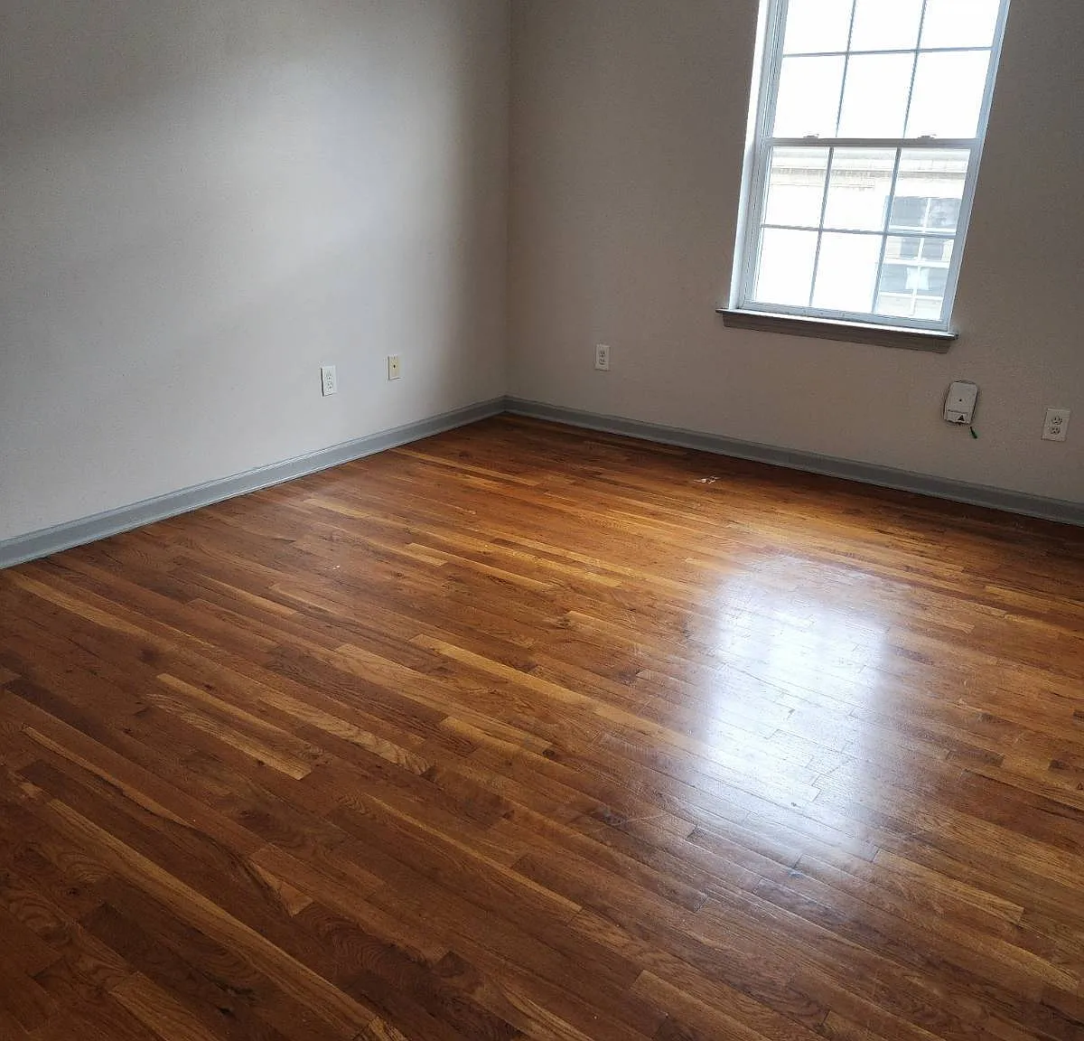 3 bed, 2.0 bath, $2,700 — Photo 3