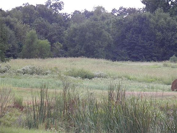 4th image of 2342 County Road 1159