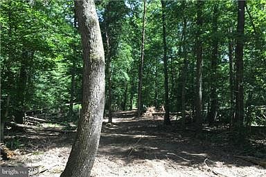 2nd image of 9900 Tall Pines Pl
