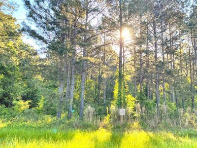 0 Old Riggs Mill Rd, Statesboro, GA, 30458
