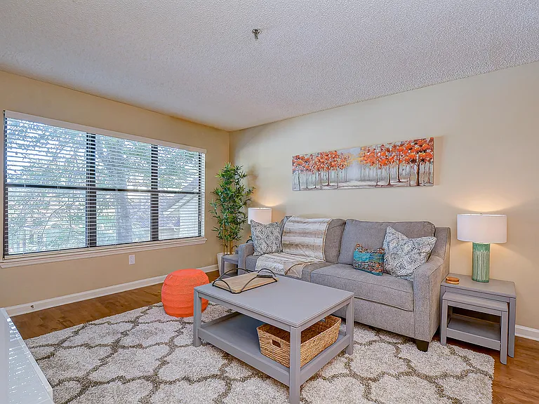 11901 4th St N #4206 — Photo 17