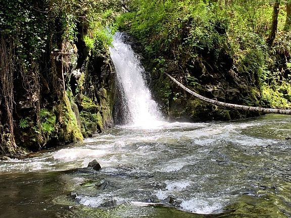 another view of a waterfall from property