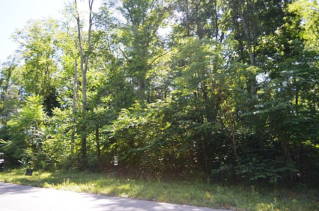 1st image of 225 Jade Ln