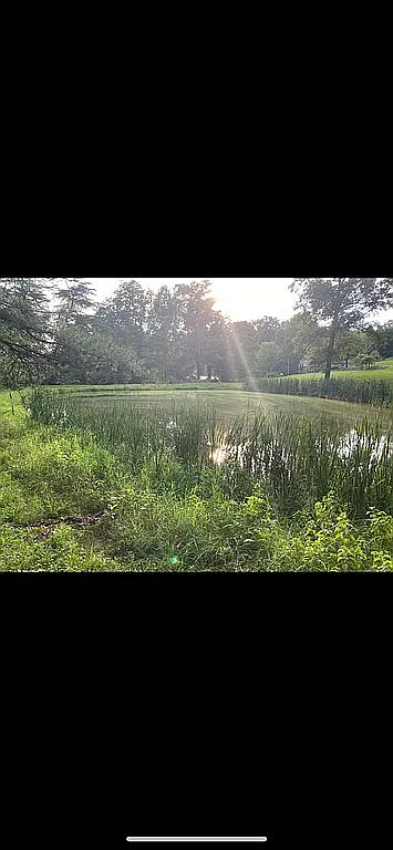 1674 Luther Rd photo 1
