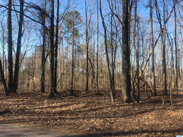 LOT 2 Oak Tree Ln, Cedar Bluff, AL 35959