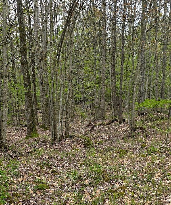 1st image of Steelhead Ln