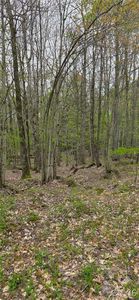Steelhead Ln, Williamstown, NY, 13493