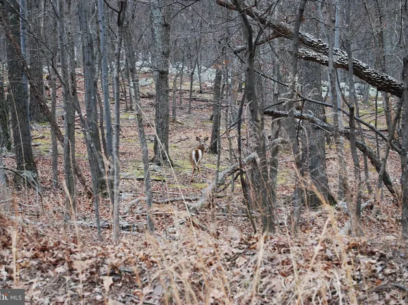 1 Terrain Dr, Hedgesville, WV 25427