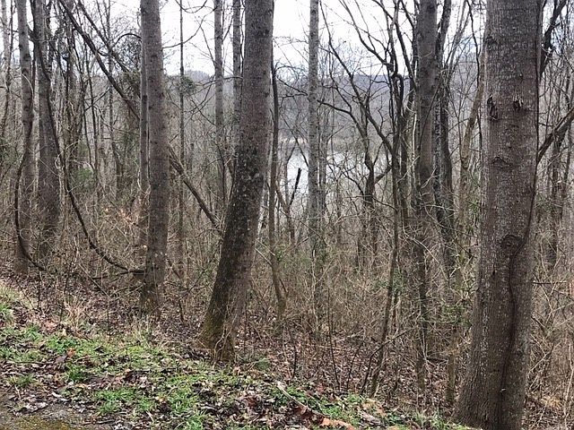 1st image of 21 Aqua View Ln Lot 21