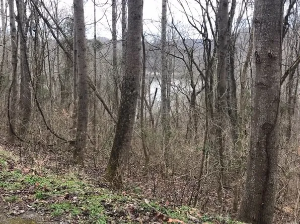 21 Aqua View Ln Lot 21, Silver Pt, TN 38582