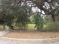 2nd image of 737 Patterson Ave