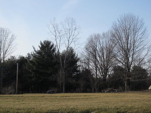 2nd image of 85 Old Sullivanville Rd