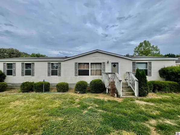 195 Pondview Ln, Almo, KY 42020