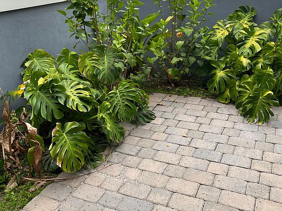 2nd image of 13865 Maskawa Ave