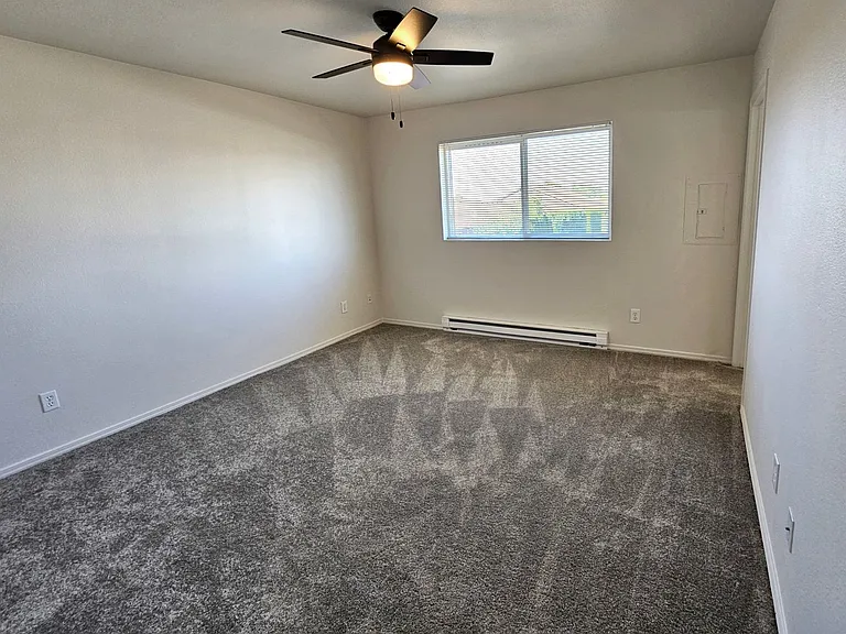 337fi — Photo 21