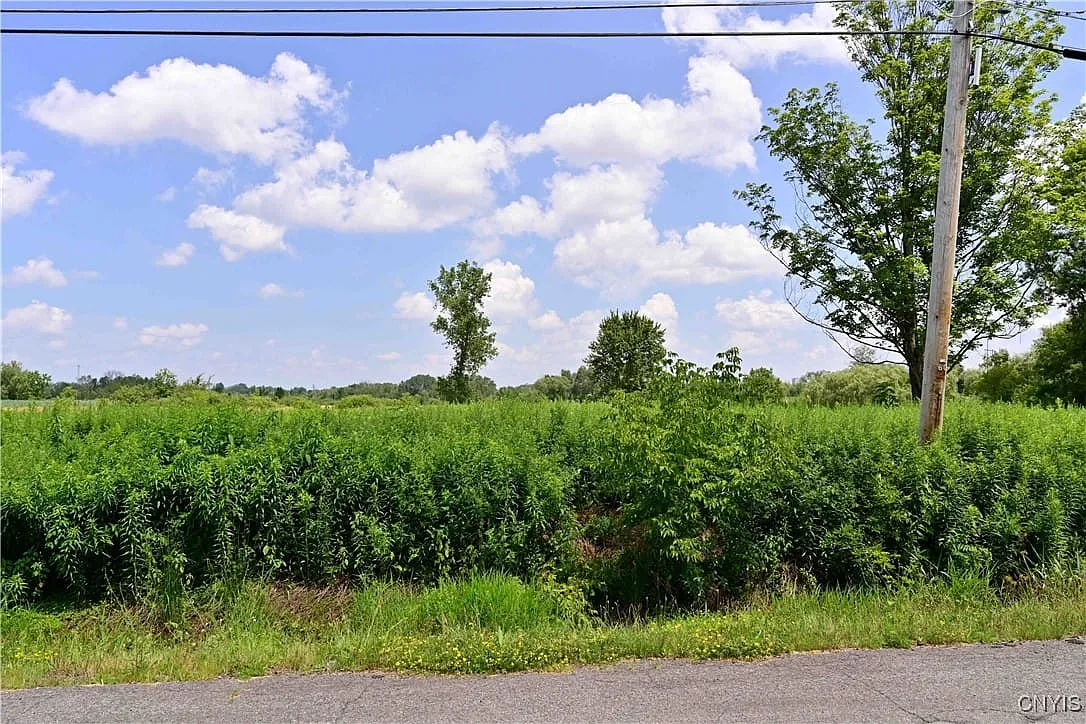 6069 Muck Rd photo 1
