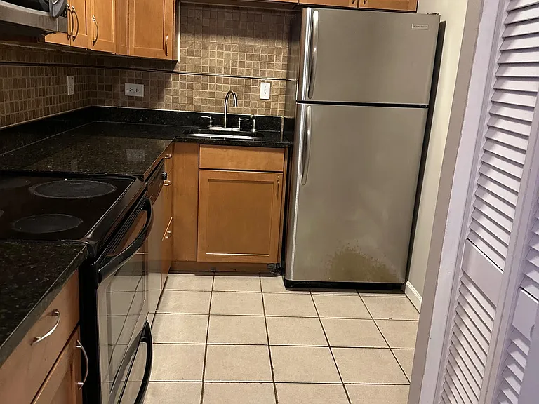 3825-103 N Pine Grove Ave #3825-103 — Photo 6