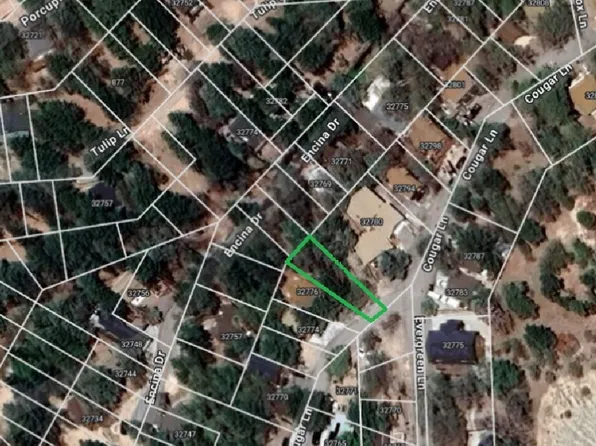 32780 Cougar Ln, Arrowbear Lake, CA 92382