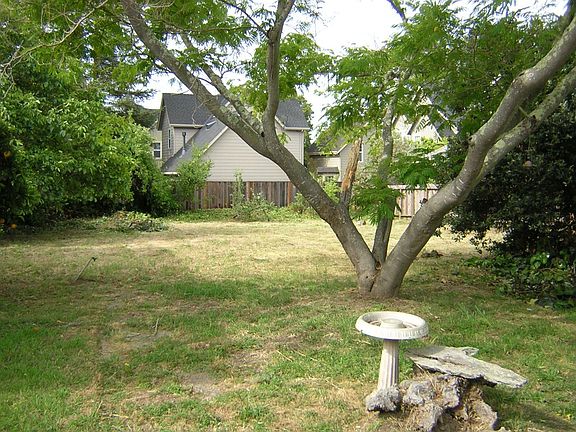 Very Large  Yard