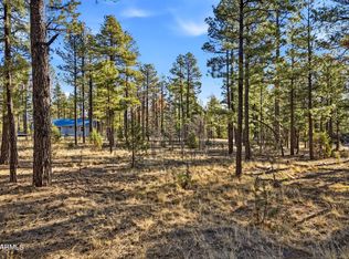 2090 KNOTTY PINE Circle #019F, Overgaard, AZ 85933