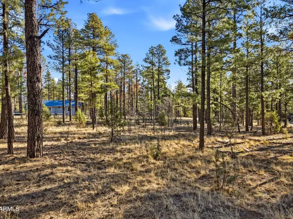 2090 KNOTTY PINE Circle #019F, Overgaard, AZ 85933