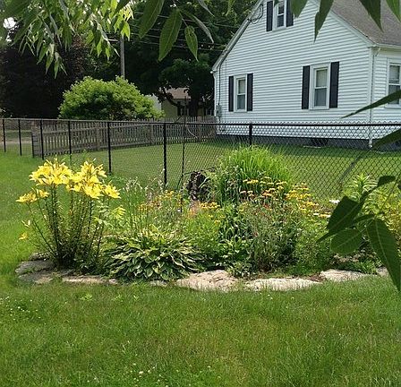 14 Mayher ~ Back Yard 1