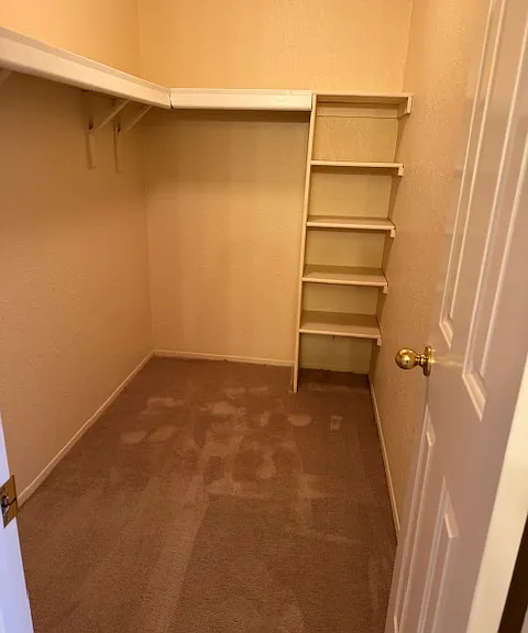 24969 Auburn Ln — Photo 2