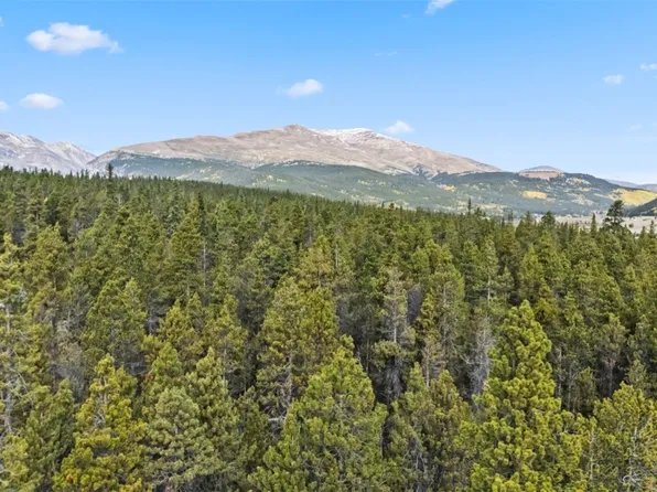 401 Willow Ln, Alma, CO 80420