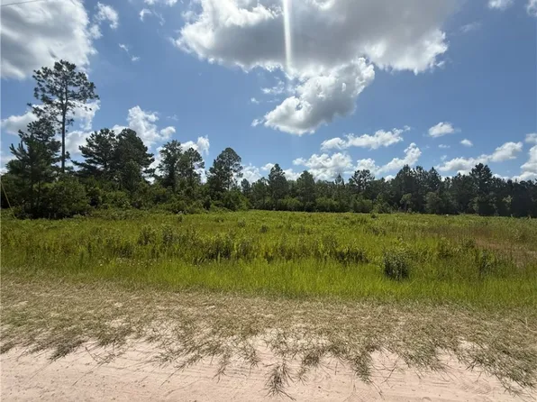 0 Daniel Rd, Waynesville, GA 31566