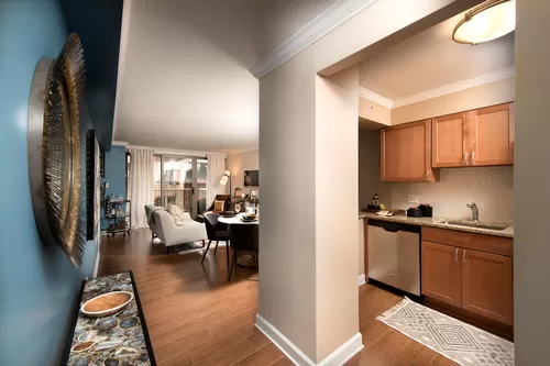 One bedroom kitchen and living areas - Westpark