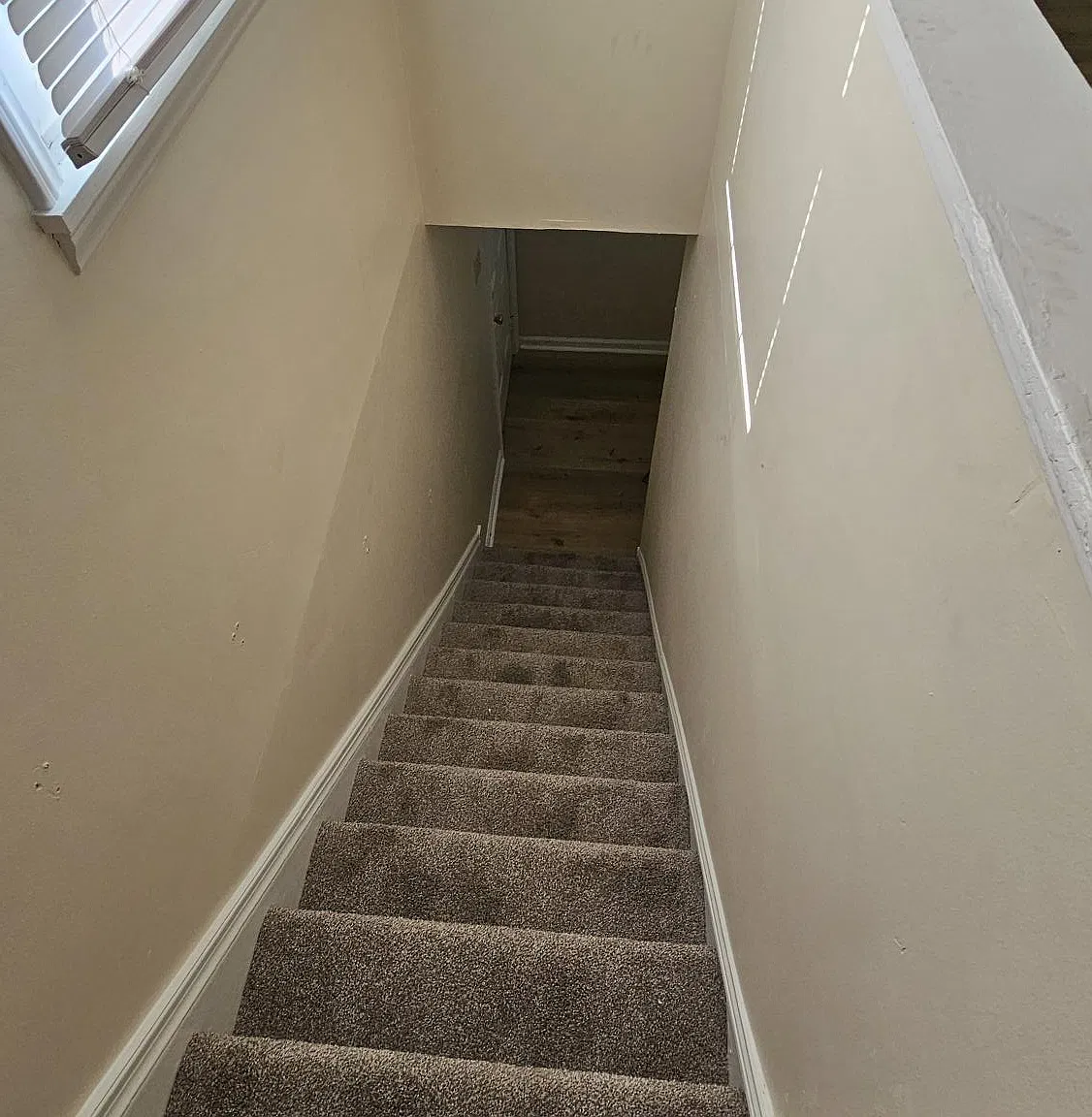 1 bed, $525 — Photo 4