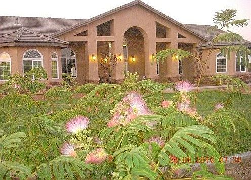 Beautiful landscaping