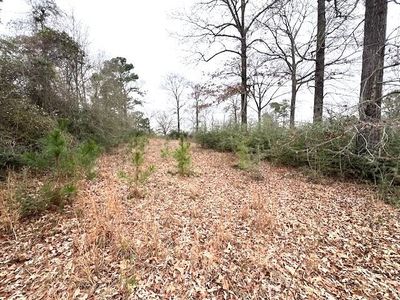 0 Potter Rd, Opp, AL, 36467