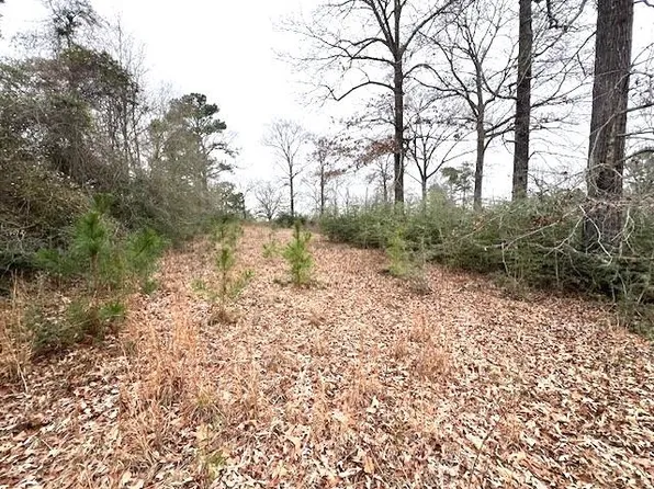 0 Potter Rd, Opp, AL 36467