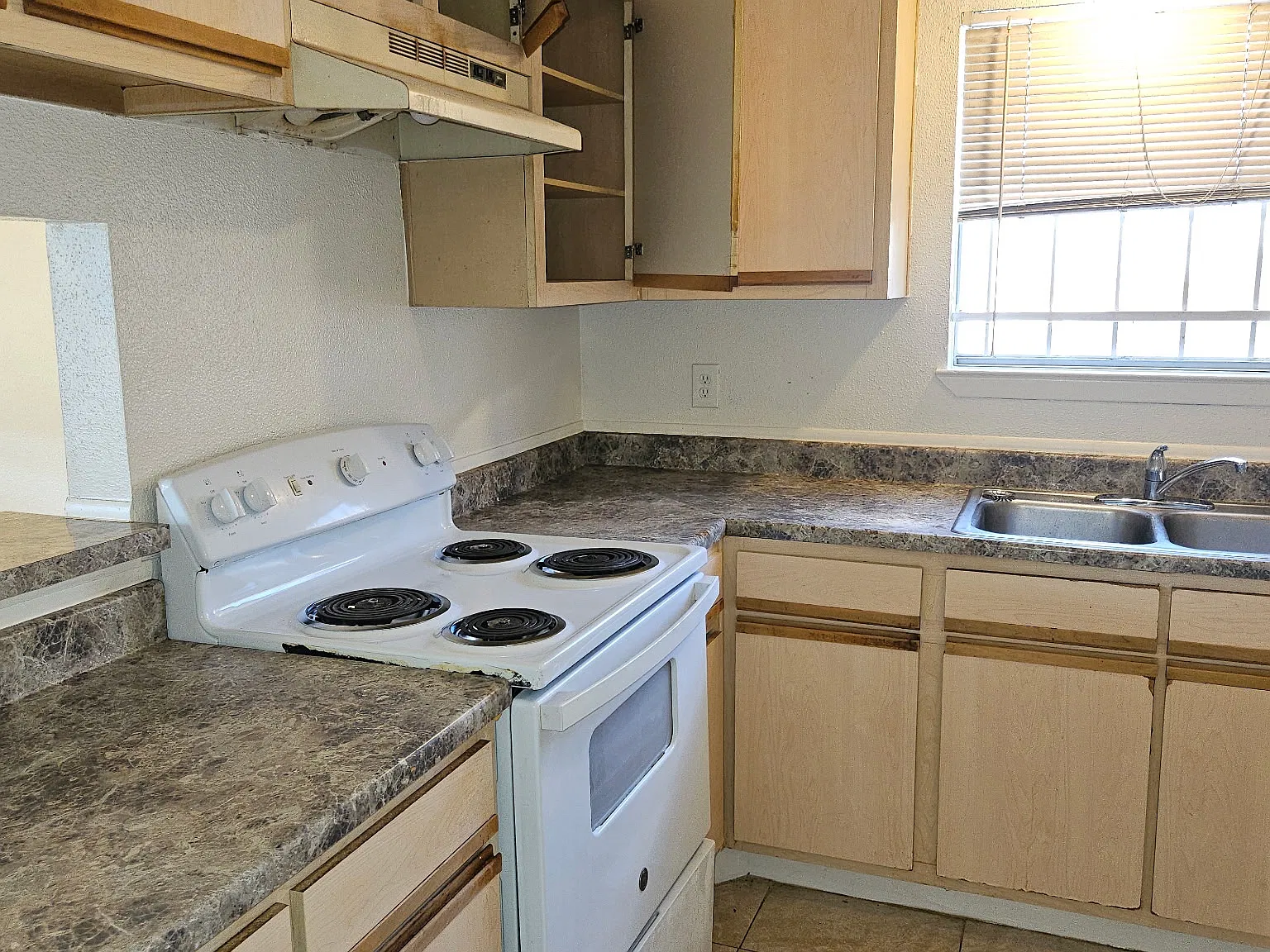 11807 Loveland Pass Dr — Photo 3
