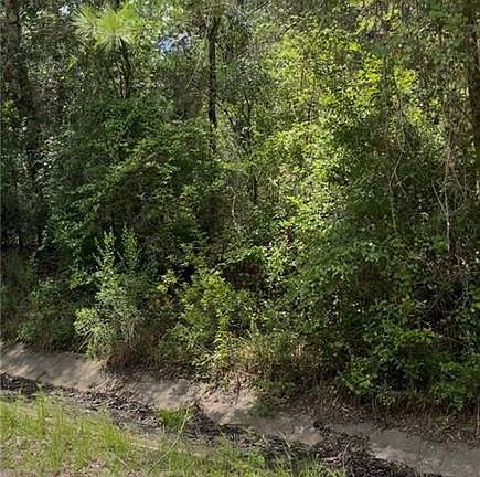 4th image of 0 Belle Terrace Dr