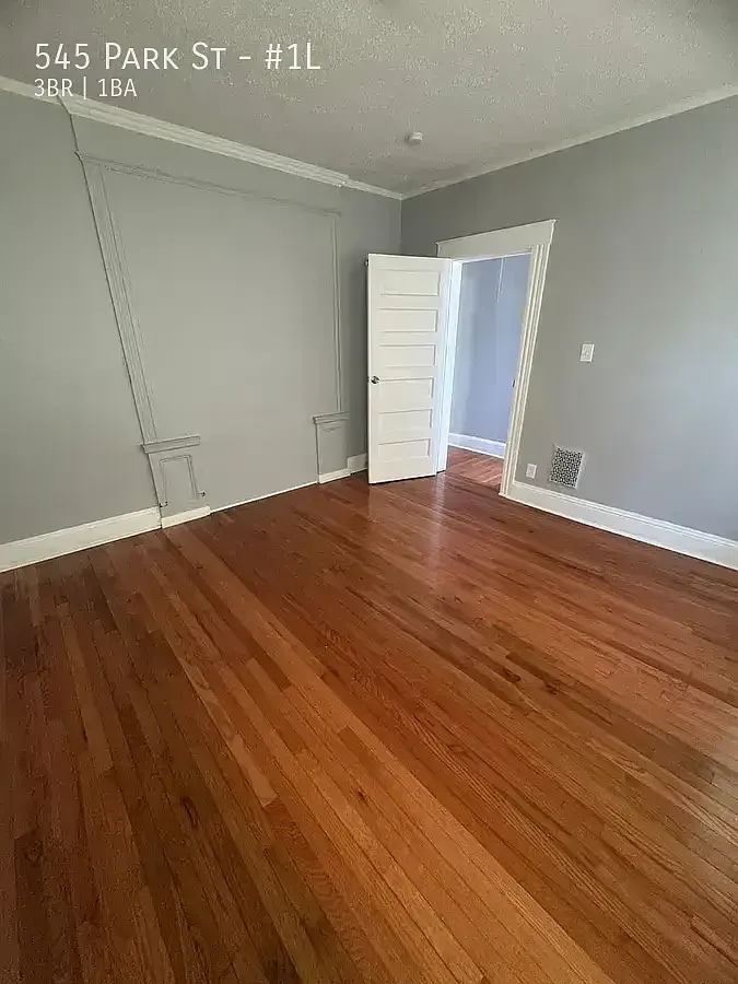 545 Park St - #1L — Photo 4