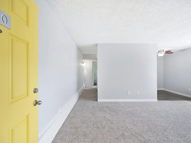 The Canopy | Living Room