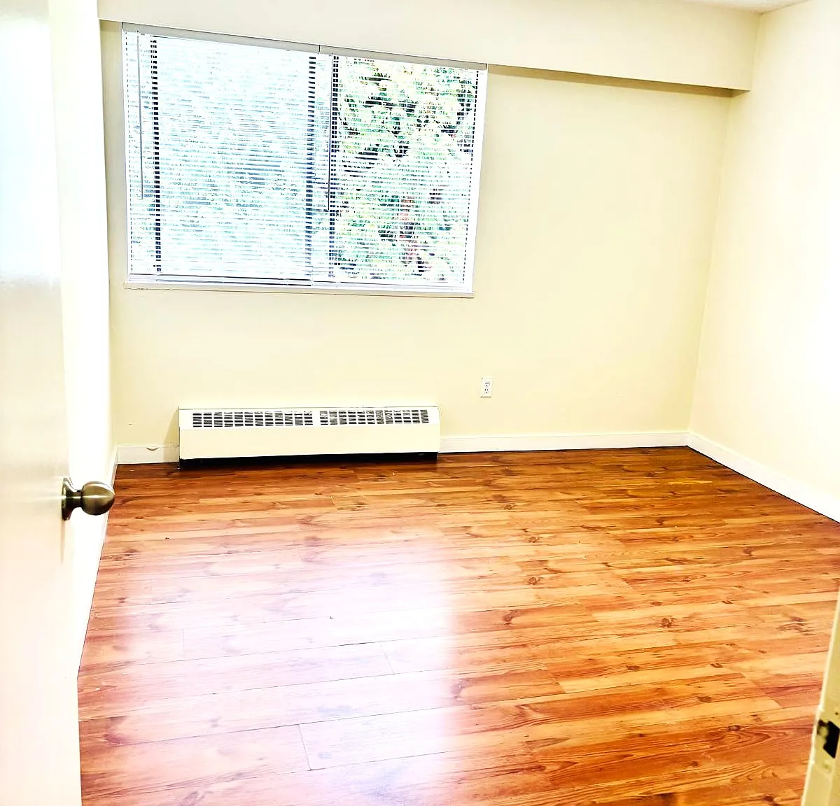 1 bed, 800 sqft, $1,550 — Photo 1